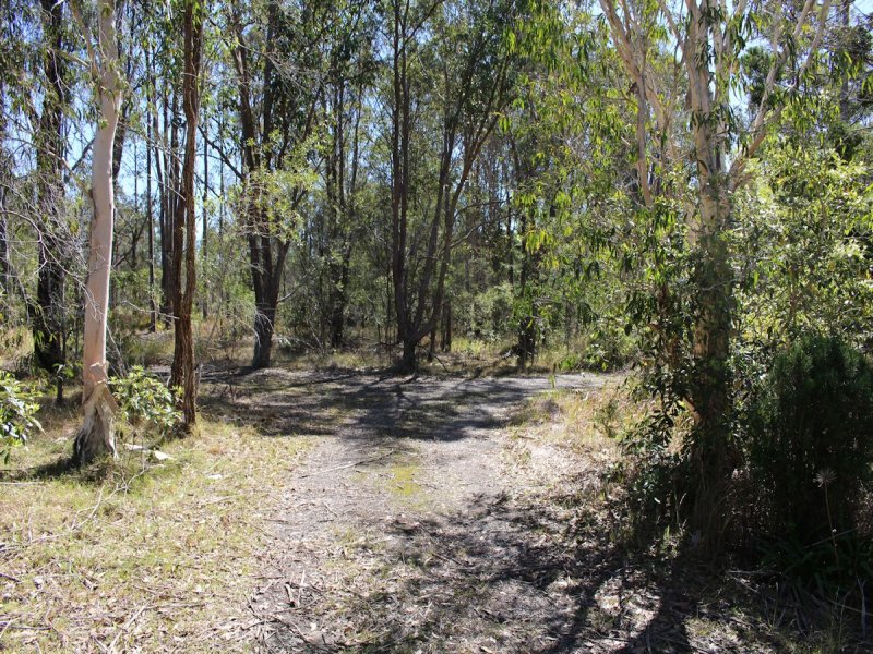 Real Estate in Coolongolook