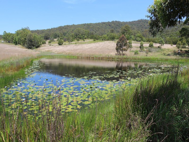 Real Estate in Coolongolook