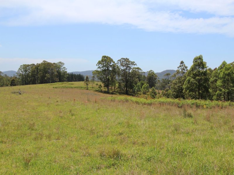 Real Estate in Coolongolook