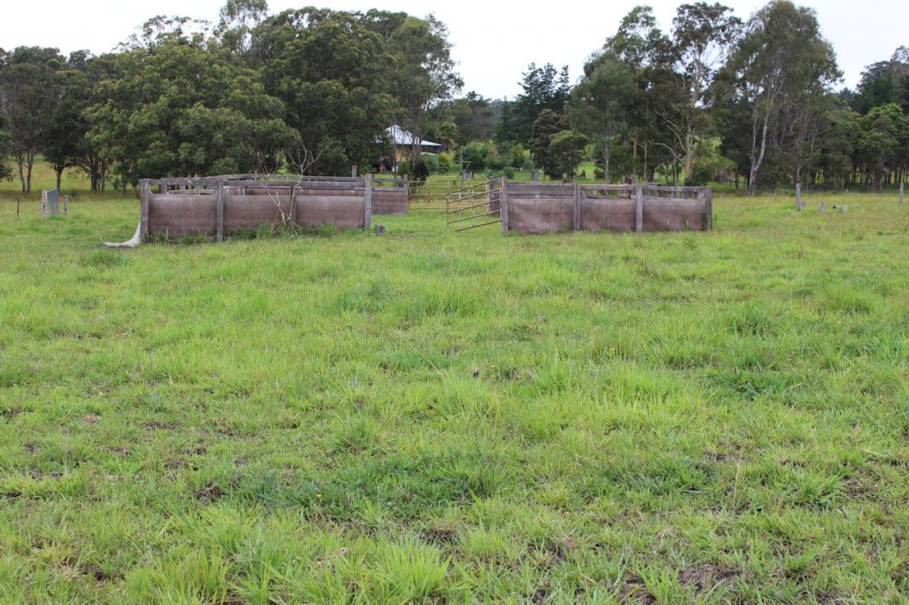 Real Estate in Dyers Crossing