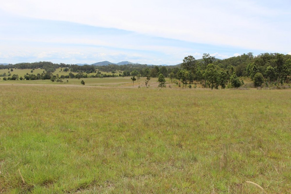 Real Estate in Dyers Crossing