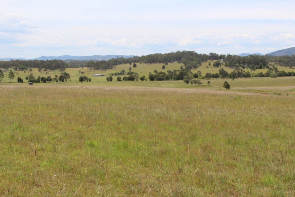 Real Estate in Dyers Crossing