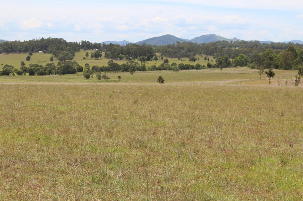 Real Estate in Dyers Crossing