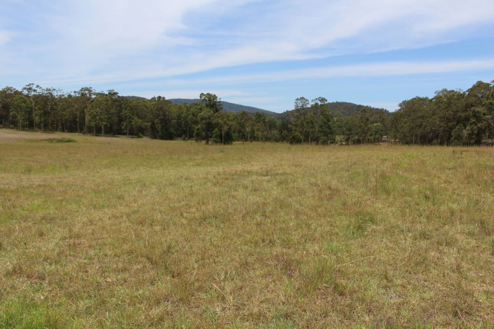 Real Estate in Dyers Crossing