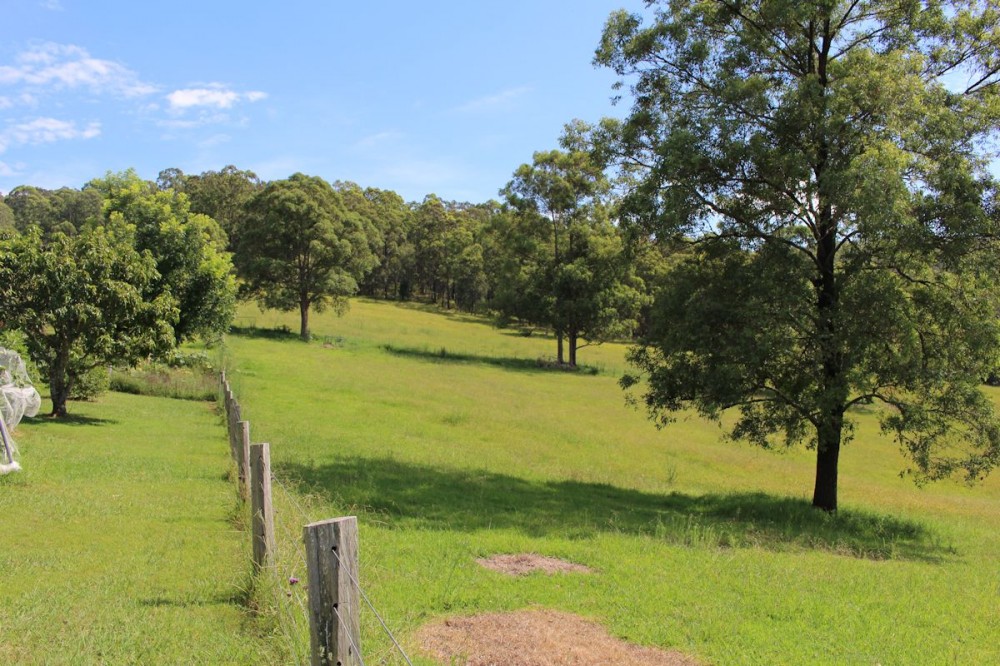 Real Estate in Krambach
