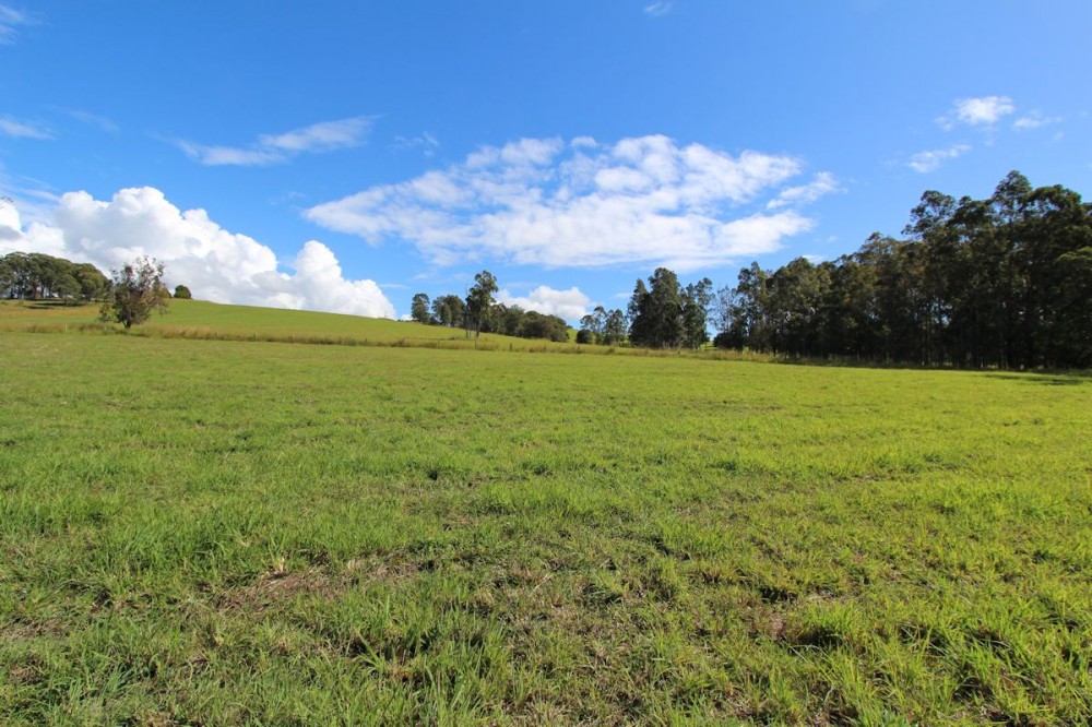 Real Estate in Dyers Crossing