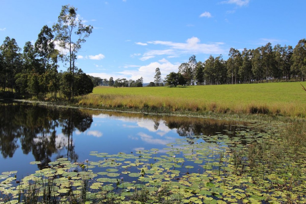 Open for inspection in Dyers Crossing