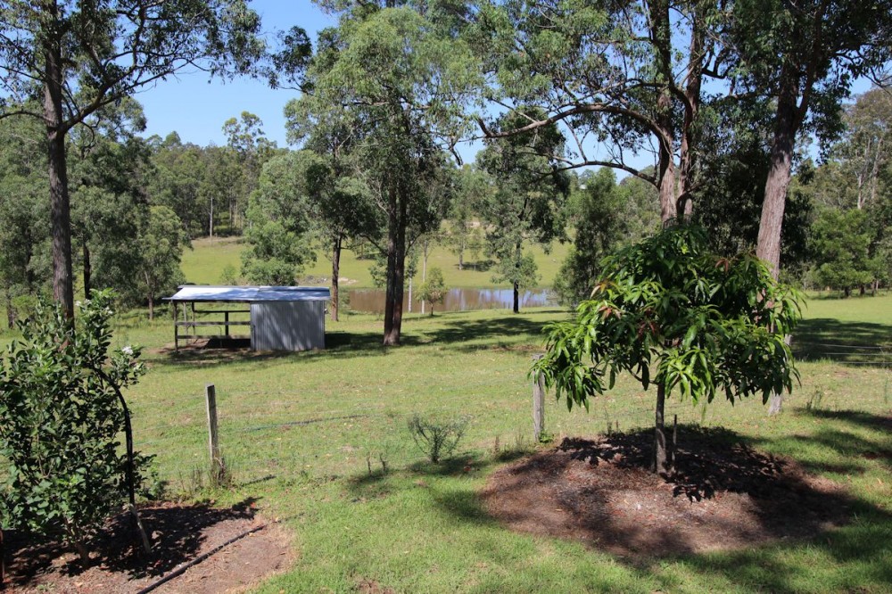 Real Estate in Dyers Crossing