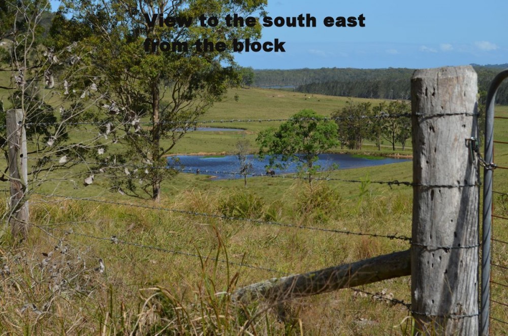 Real Estate in Nabiac