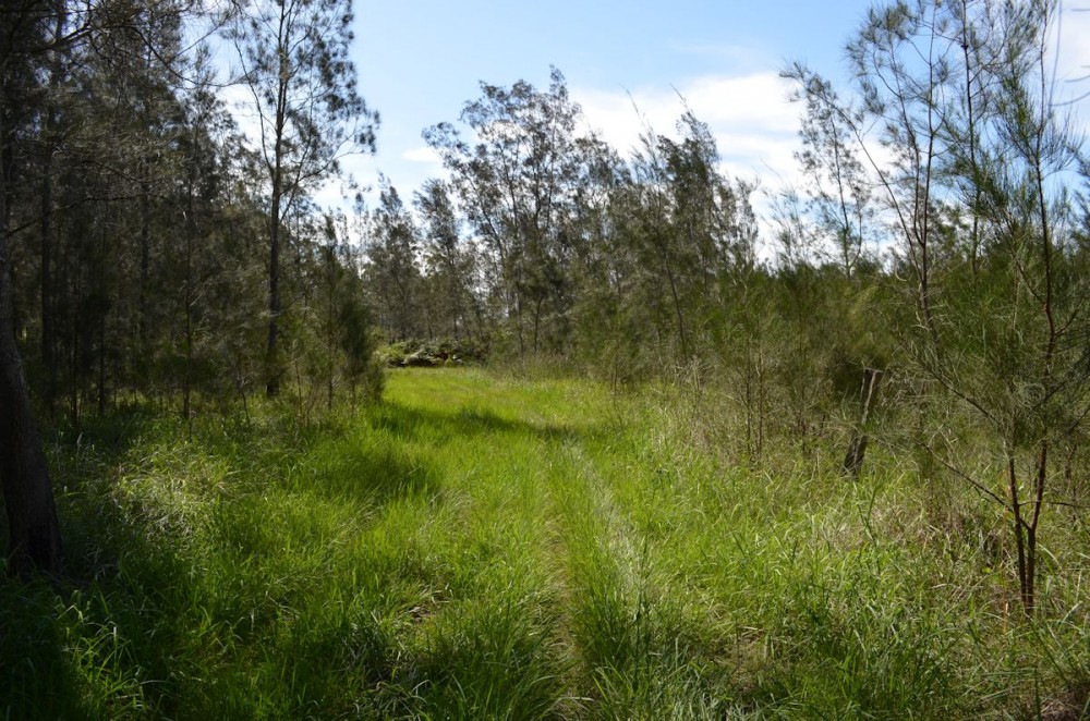 Nabiac real estate Sold