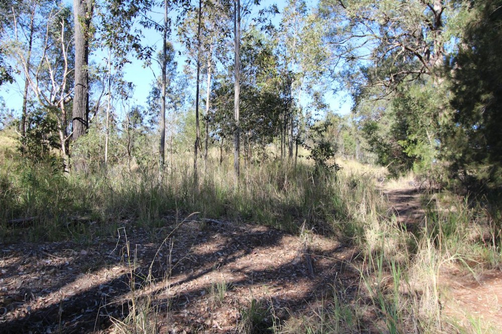 Real Estate in Nabiac