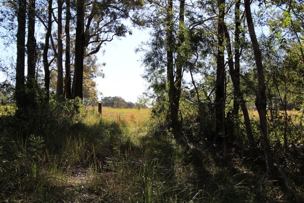 Real Estate in Nabiac