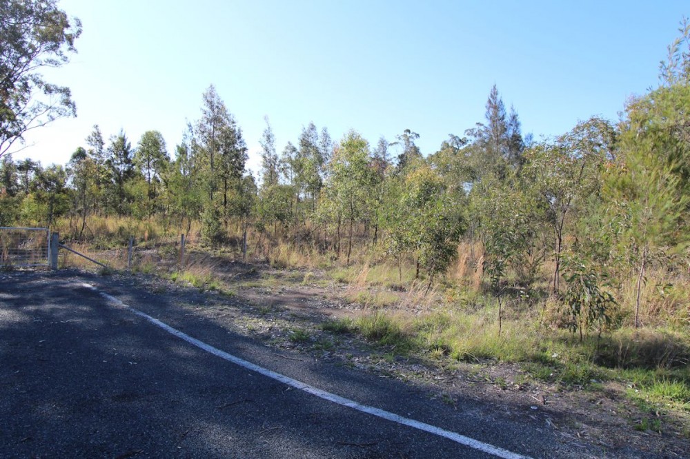 Real Estate in Nabiac