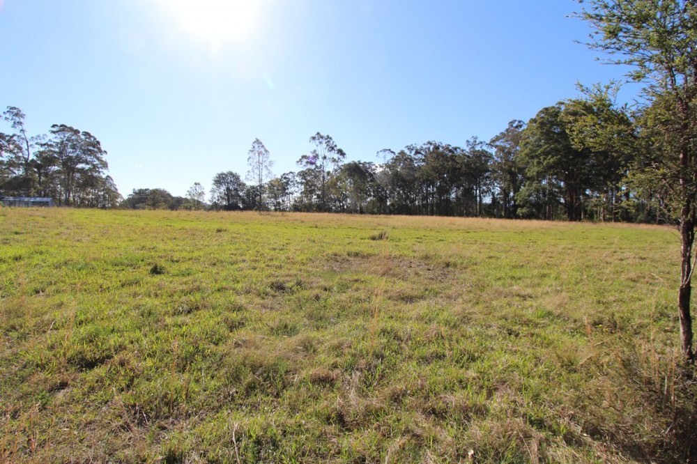 Real Estate in Nabiac