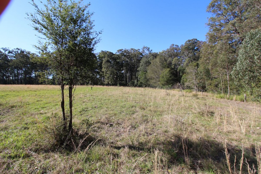 Real Estate in Nabiac