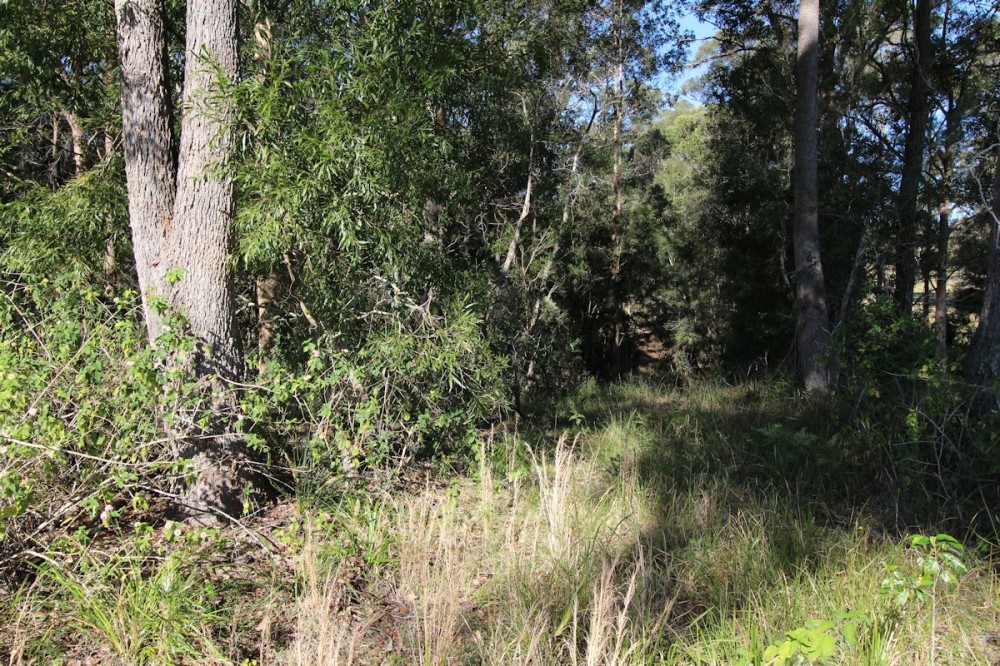 Real Estate in Nabiac