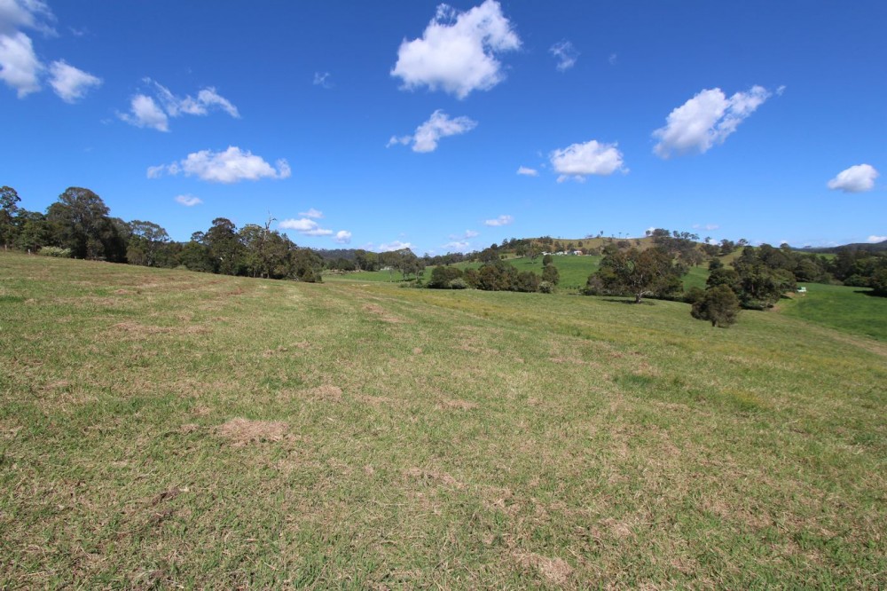 Real Estate in Firefly