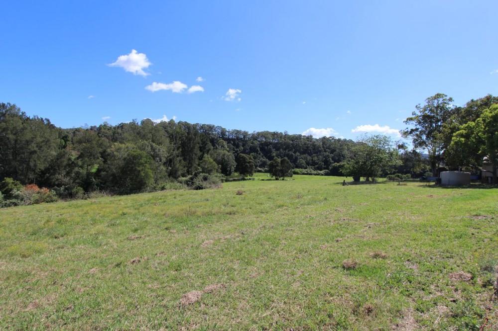 Real Estate in Firefly