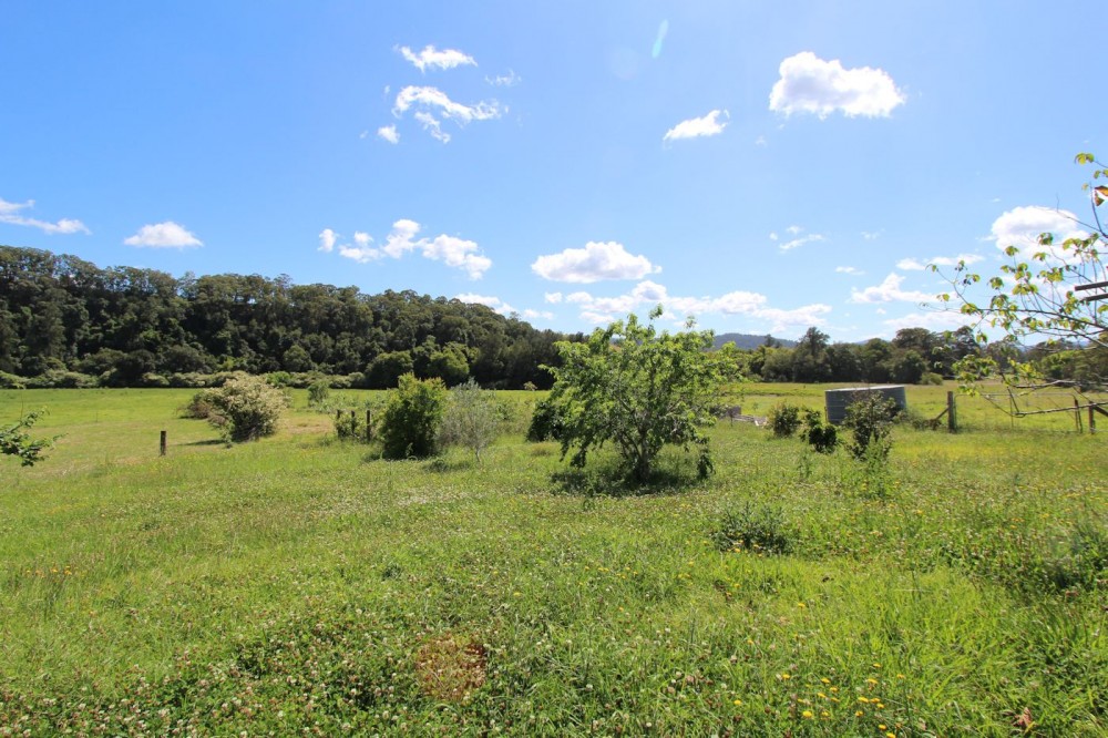 Real Estate in Firefly