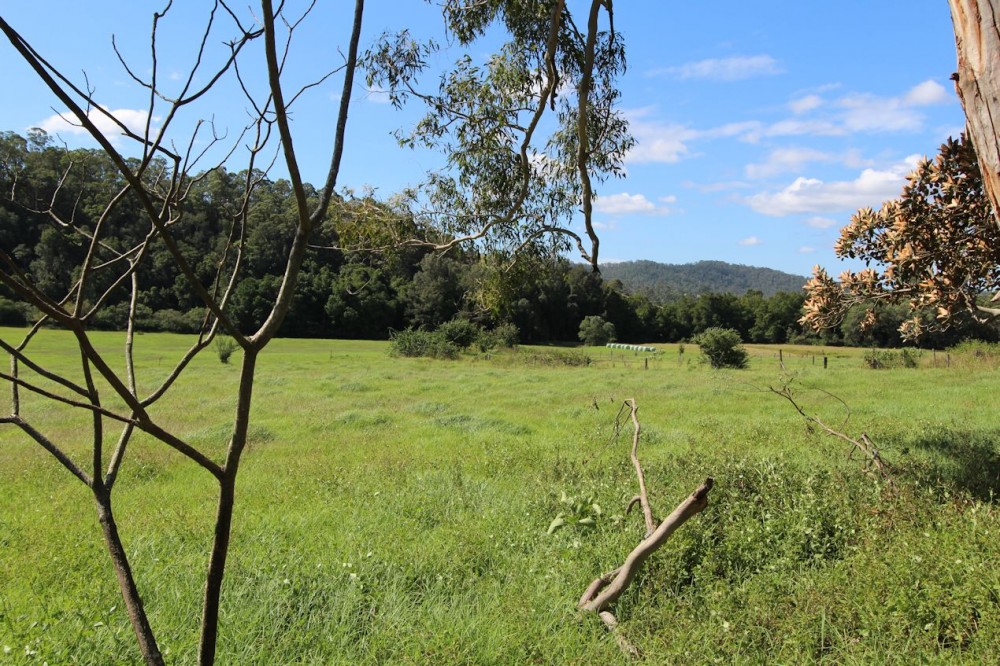 Real Estate in Firefly