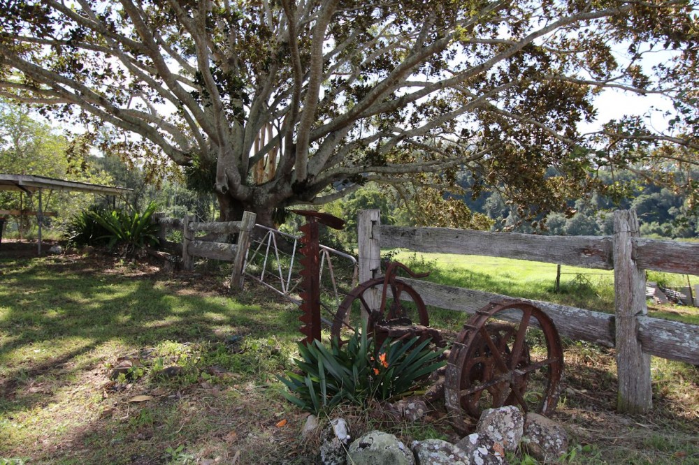 Real Estate in Firefly