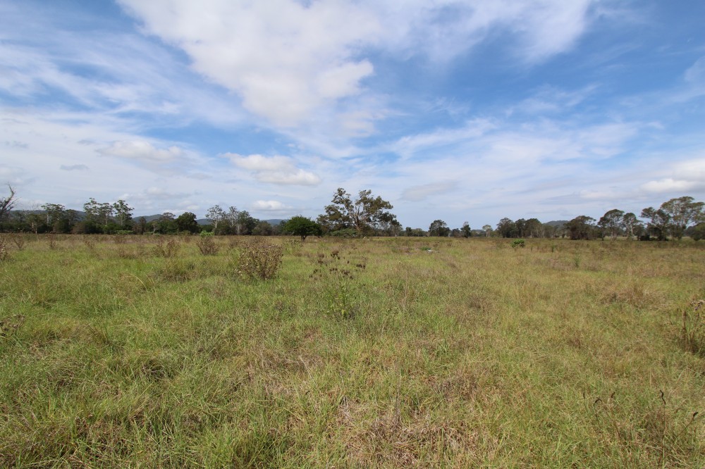 Open for inspection in Dyers Crossing