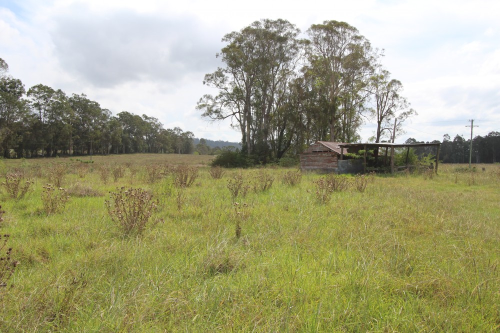 Real Estate in Dyers Crossing