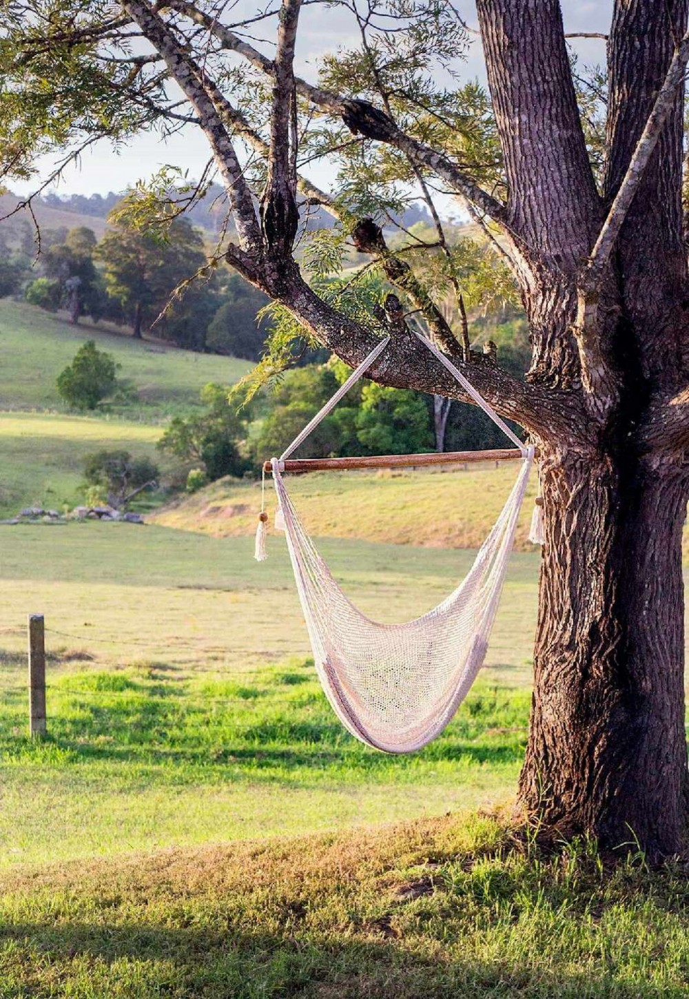 Real Estate in Firefly