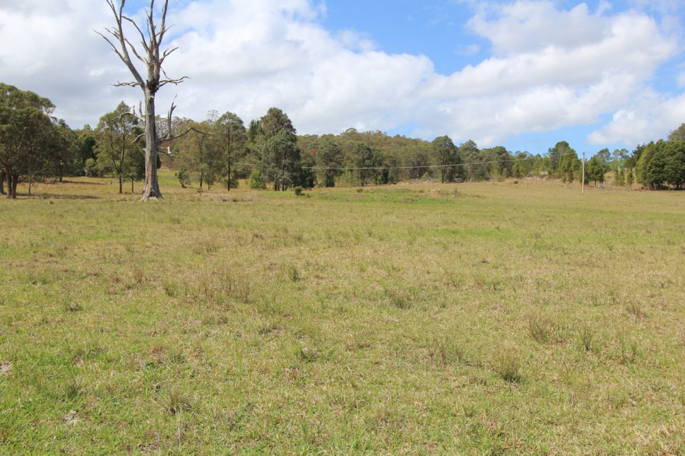 Real Estate in Dyers Crossing