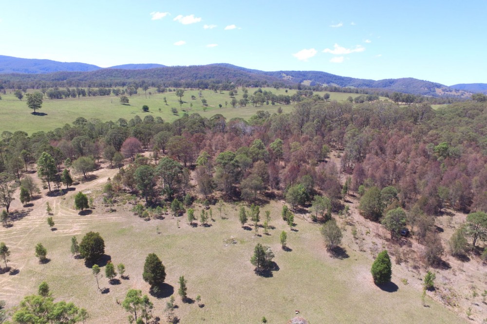 Real Estate in Dyers Crossing