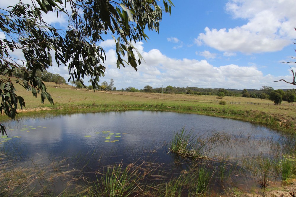 Real Estate in Dyers Crossing