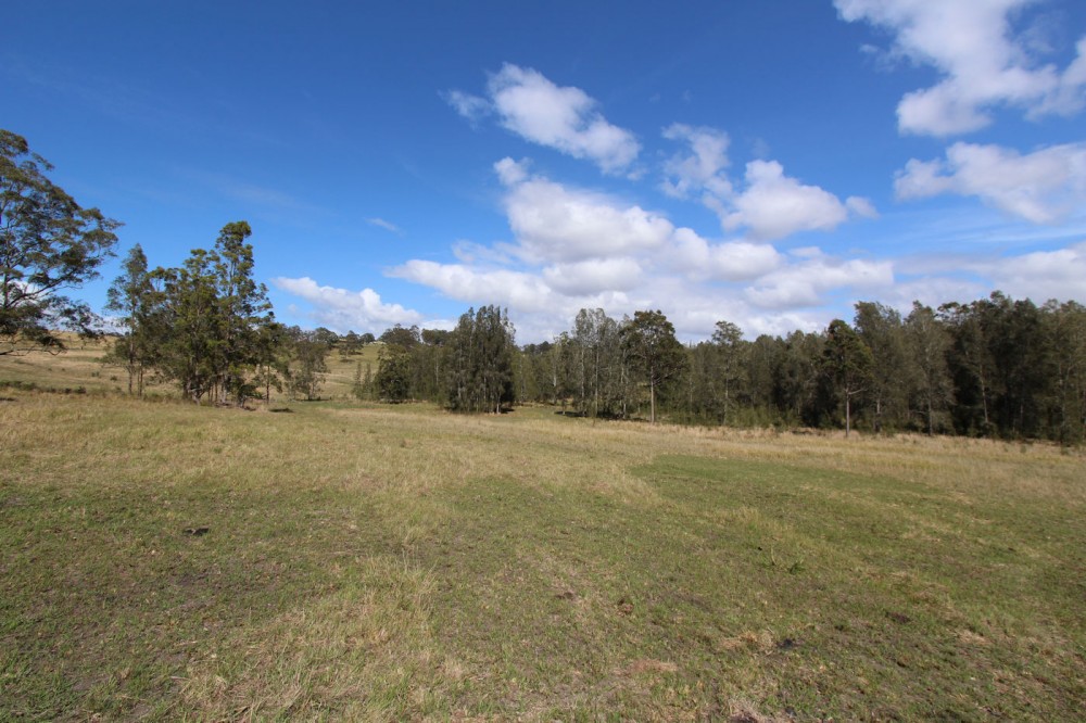 Real Estate in Nabiac