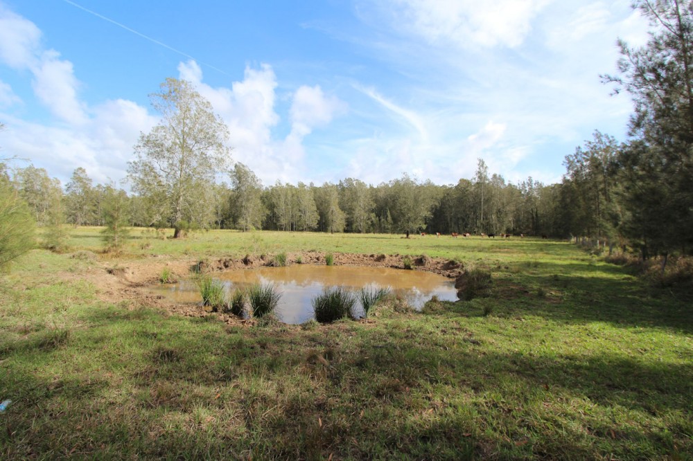 Selling your property in Nabiac