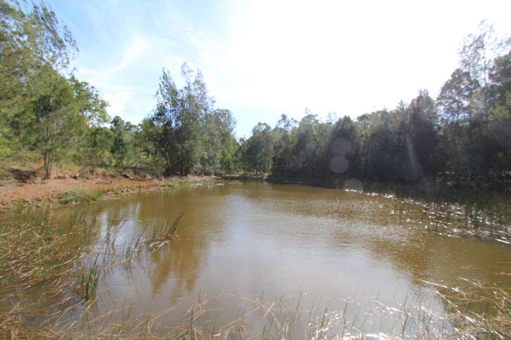 Real Estate in Nabiac