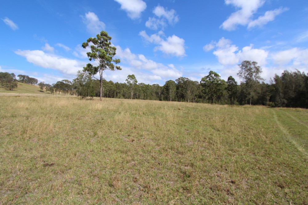 Real Estate in Nabiac