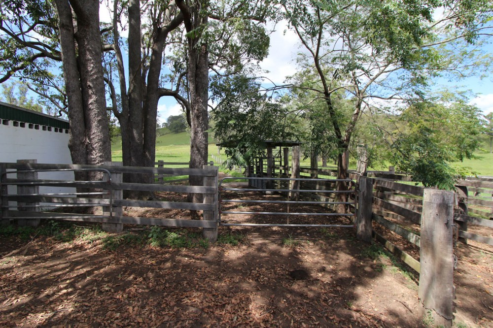 Real Estate in Firefly