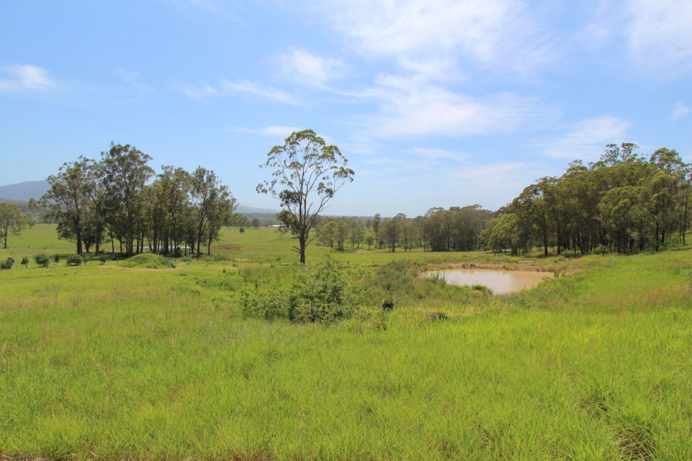 Real Estate in Dyers Crossing