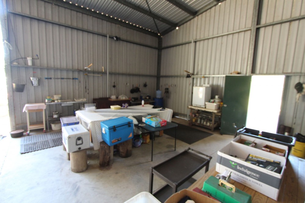 Real Estate in Nabiac