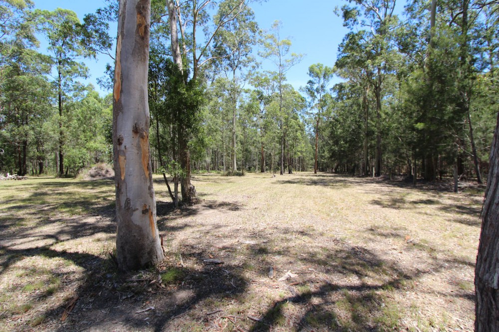 Real Estate in Nabiac