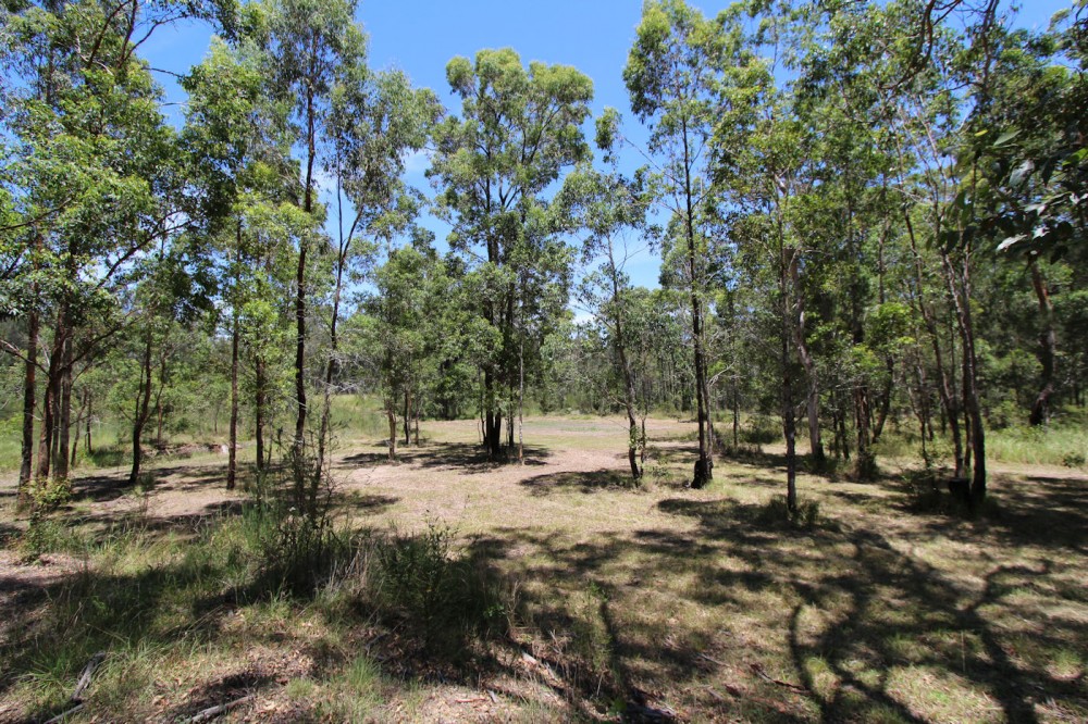 Selling your property in Nabiac