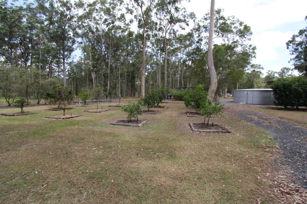 Real Estate in Nabiac