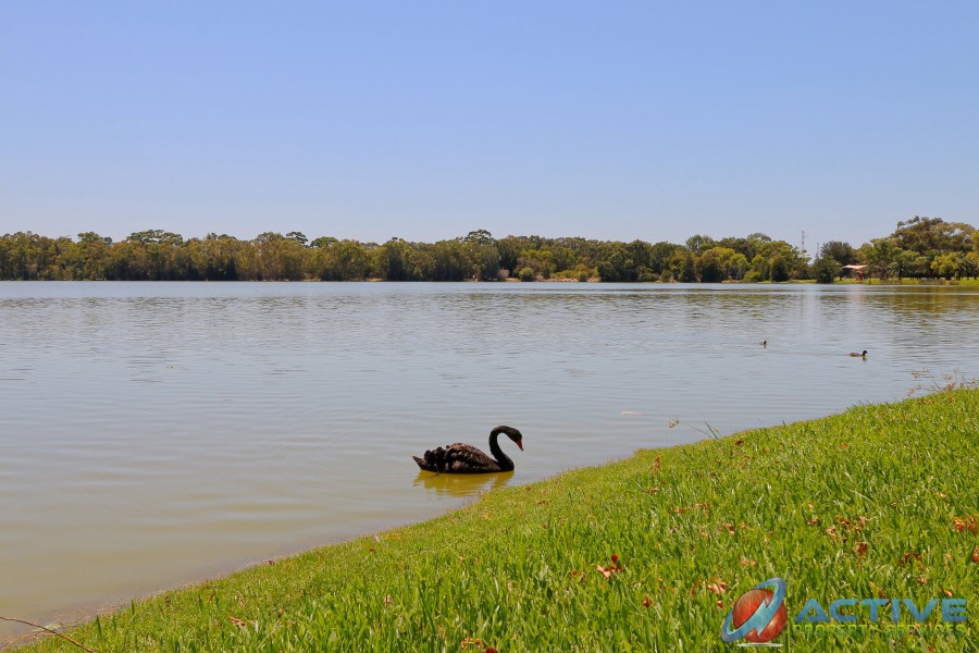 Real Estate in Wembley