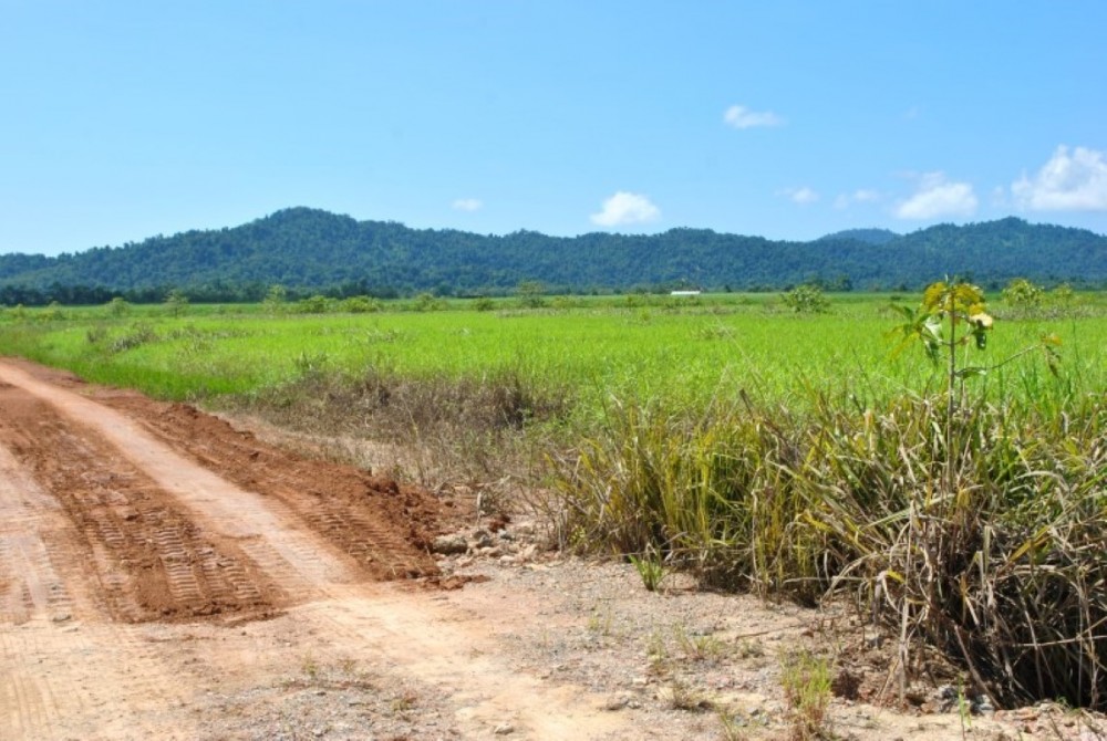 Property For Sale in Babinda