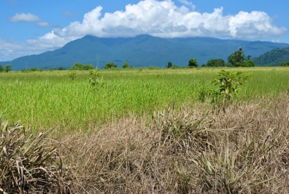 Selling your property in Babinda