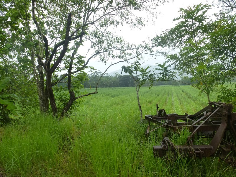 Babinda real estate For Sale