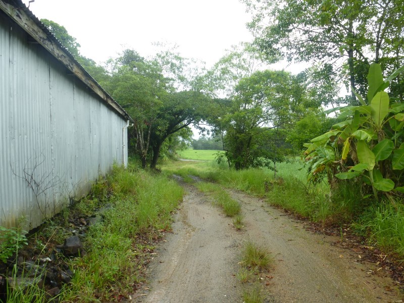 Real Estate in Babinda