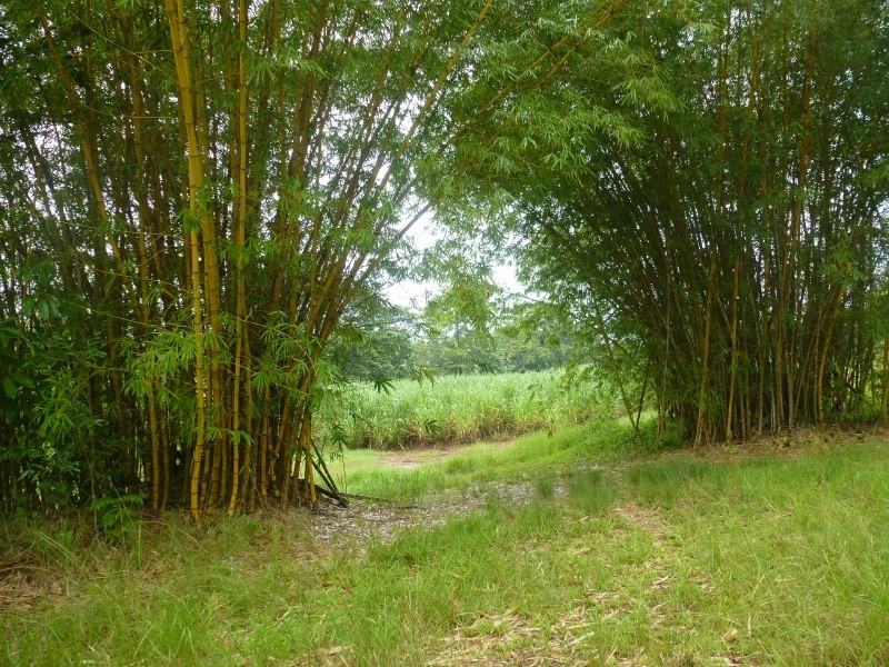 Open for inspection in Babinda