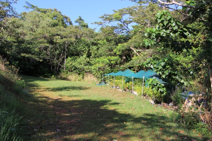 Real Estate in Bramston Beach