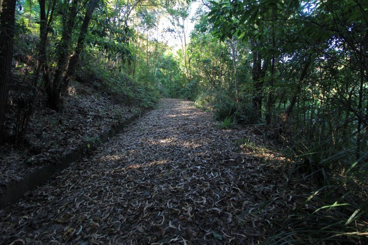 Real Estate in Bramston Beach