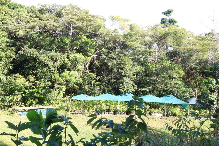 Real Estate in Bramston Beach